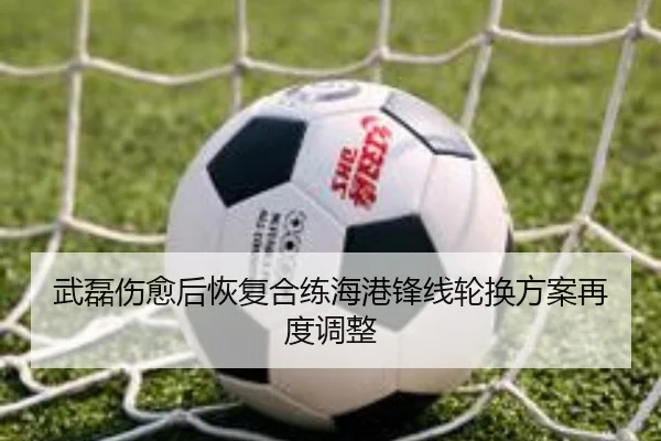 武磊伤愈后恢复合练海港锋线轮换方案再度调整